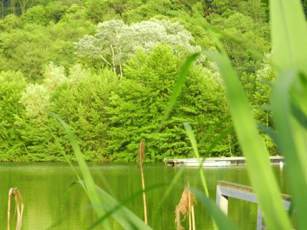 Gite Les Platanes Sainte-Helene-du-Lac ภายนอก รูปภาพ